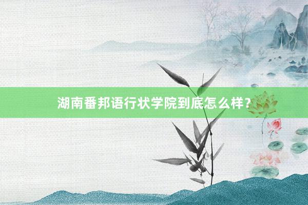 湖南番邦语行状学院到底怎么样？