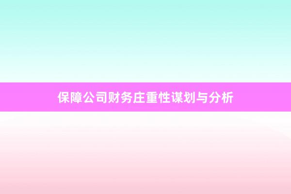 保障公司财务庄重性谋划与分析